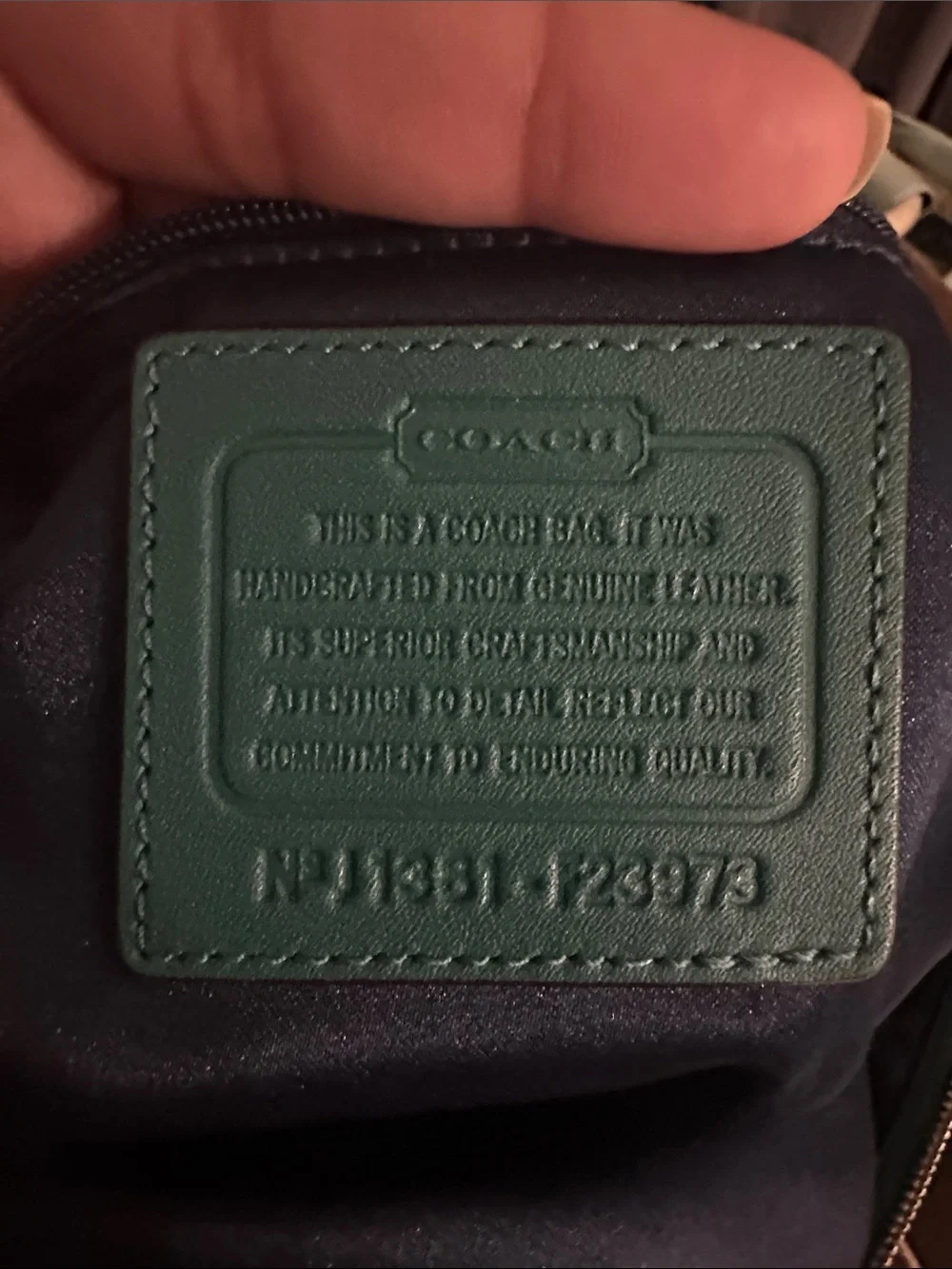 Coach EUC Daisy Hobo Bag - Teal/Green Leather